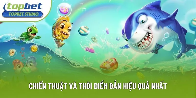 Chiến thuật và thời điểm bắn hiệu quả nhất Chiến thuật và thời điểm bắn hiệu quả nhất