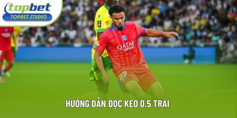 Hướng dẫn đọc kèo 0.5 trái  