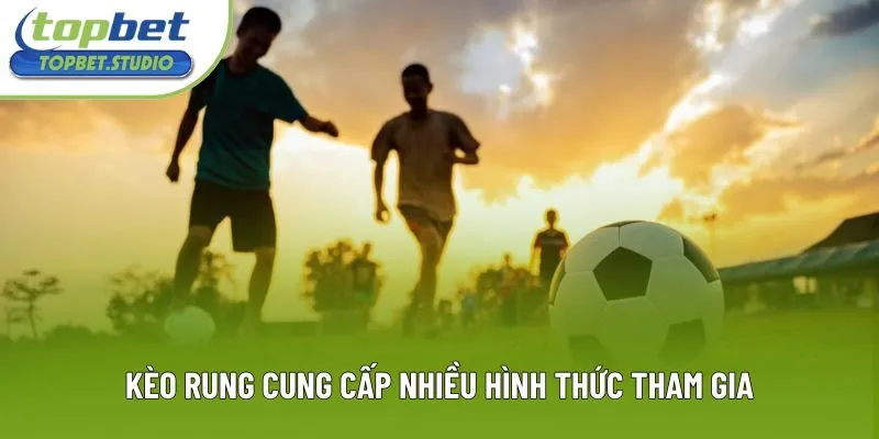 Kèo rung cung cấp nhiều hình thức tham gia