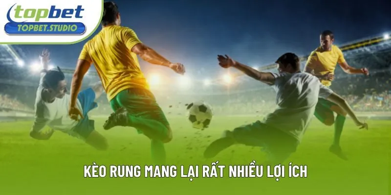 Kèo rung mang lại rất nhiều lợi ích