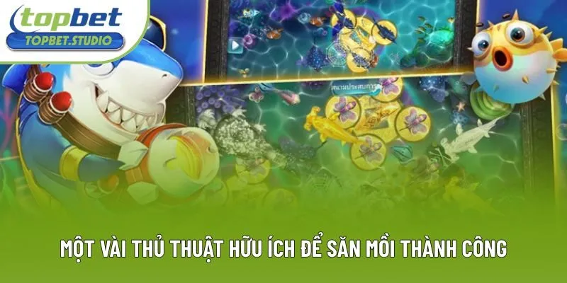 Một vài thủ thuật hữu ích để săn mồi thành công