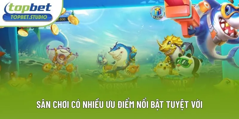Sân chơi có nhiều ưu điểm nổi bật tuyệt vời