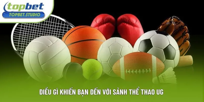 Điều gì khiến bạn đến với sảnh thể thao UG 